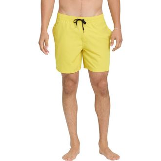 Quiksilver Everyday Volley 15-Inch Swim Trunks in Acacia at Nordstrom Rack, Size Xx-Large