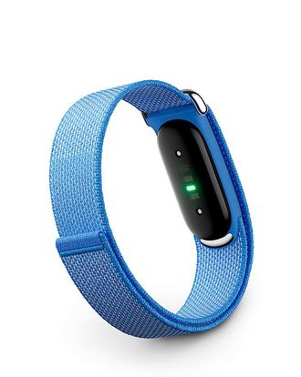 FitBit Google Fitbit Air Lavender