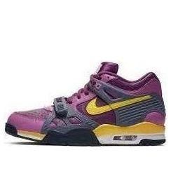 Nike Air Trainer 3 B Viotech 679066-571