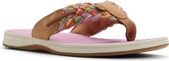 Sperry Top-Sider Parrotfish Sandal in Bright Multi at Nordstrom, Size 10.5