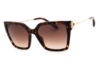Chopard SCH371S 0909 Shiny Havana/Brown Gradient