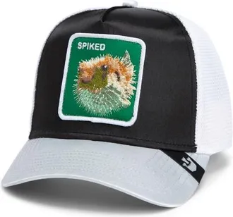 Goorin Brothers Baseball Cap in Black at Nordstrom