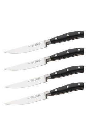 Viking German 4-Piece Knife Set in Steel at Nordstrom Rack