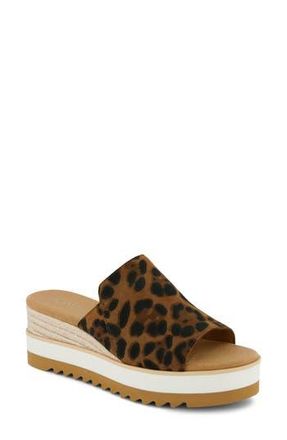 Toms Diana Mule Sandal in Brown at Nordstrom Rack, Size 10