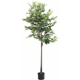 vidaXL Rbol Ficus Artificial Con 756 Hojas Verde 170 Cm Vidaxl