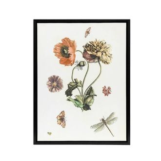 Artery8 Poppies Butterflies & Dragonfly Teyler Black Framed Canvas Wall Art in White | Size: W24 x H32