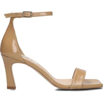 Notre-V Dames, Schoenen, Bruin, Maat: 36 EU Leer