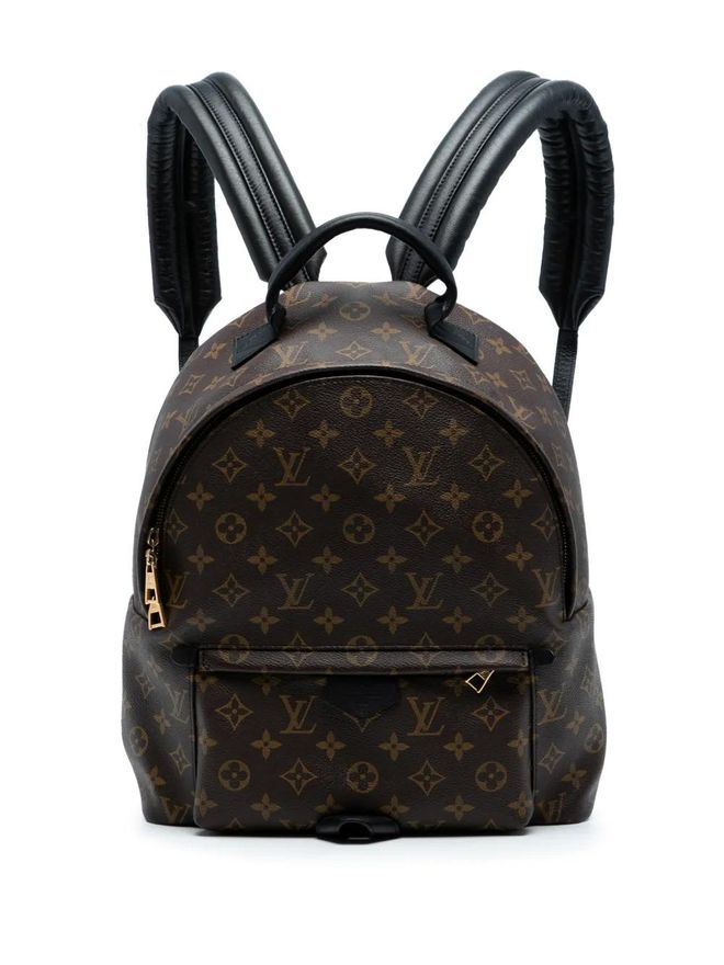 2015 Monogram Palm Springs MM backpack - Brown