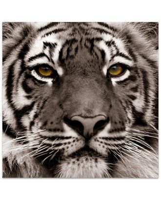 Empire Art Direct Eye Of The Tiger Wall Art