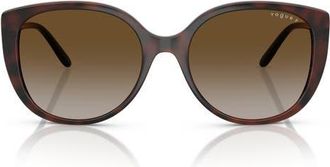 Vogue Eyewear 55mm Polarized Gradient Butterfly Sunglasses in Dark Havana at Nordstrom