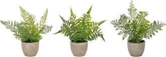 Melrose International Set Of 3 Assorted Fern Plant In Grey Pot