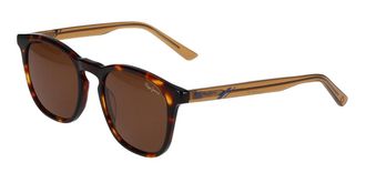 Pepe Jeans London PJ7409 101P Mens Sunglasses Tortoiseshell Size 53