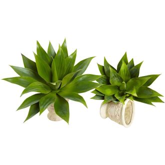 Nearly Natural 17-in Agave Succulent Plant in Green at Nordstrom