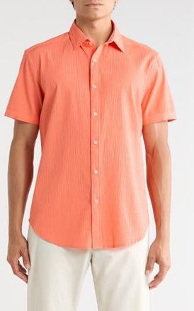 Robert Graham Harbor Short Sleeve Stretch Cotton Button-Up Shirt in Peach at Nordstrom Rack, Size Xx-Large