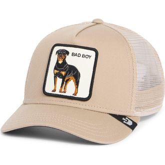 Goorin Brothers The Baddest Boy Trucker Hat in Khaki at Nordstrom Rack