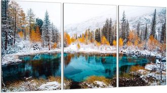 OEM Placa Protectora De Vidrio Para Estufa 3x30x52