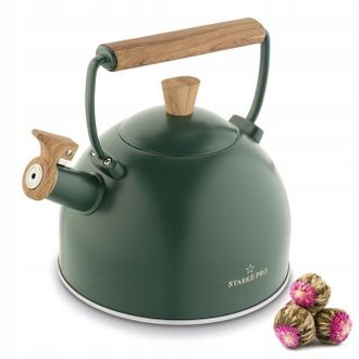 OEM Hervidor De Gas De Inducci&oacute;n Con Silbato, Color Verde, Marca Tradicional Starke Pro Harit, 2,5 L