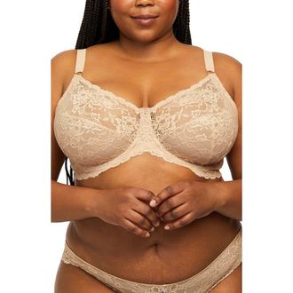 Montelle Intimates Muse Full Cup Lace Bra in Sand at Nordstrom, Size 32D