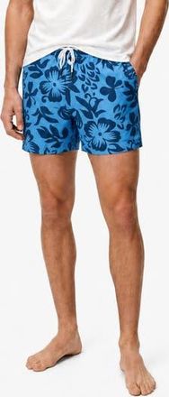 Onia Stretch Volley Swim Trunks in Cobalt Mul at Nordstrom Rack, Size Xx-Large