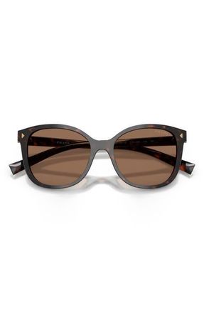 Prada 53mm Gradient Square Sunglasses in Root Tortoise /Dark Brown at Nordstrom