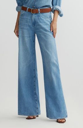 DL1961 Alex Aura Baggy Low Rise Wide Leg Jeans in Riverbank Aura at Nordstrom, Size 23