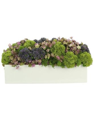 Creative Displays Inc. Moss & Succulents In Rectangular Planter