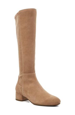 Dune London Tayla Knee High Boot in Caramel at Nordstrom, Size 6Us