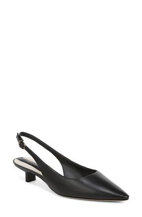 Franco Sarto Pura Slingback Pointed Toe Kitten Heel Pump in Black at Nordstrom, Size 5.5