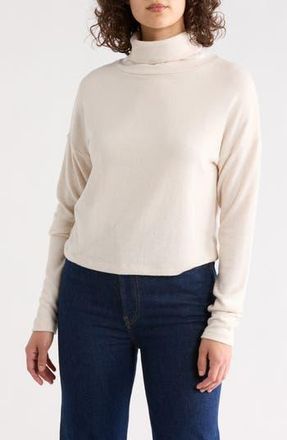 Renee C Cowl Neck Brushed Knit Crop Pullover in Oatmeal at Nordstrom Rack, Size X-Large