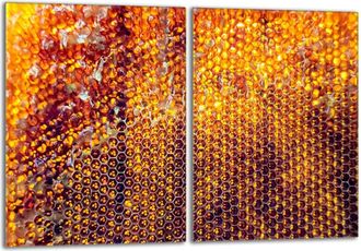 OEM Placa Protectora De Vidrio Para La Estufa 2x40x52 Miel