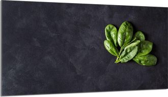 OEM Protector De Cristal Para Encimera 90x52 Albahaca