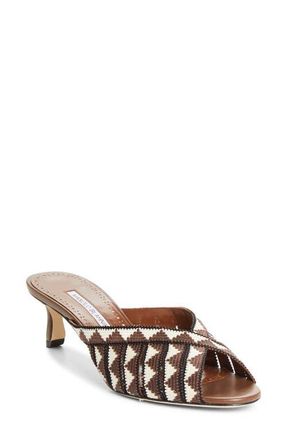 Manolo Blahnik Trofesamu Slide Sandal in Brown/Cream at Nordstrom, Size 6.5Us