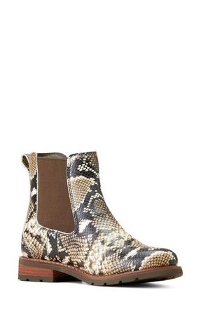 Ariat Wexford Waterproof Chelsea Boot in Gray at Nordstrom, Size 8