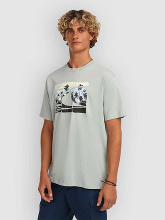 O'Neill Gradient T-Shirt grijs