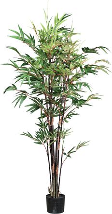 Creativ Green Kunstpflanze