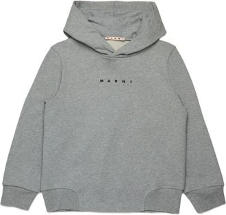 Marni Kids Sweatshirts, male, Gray, 10 Y, Gray Long-Sleeved Hoodie Jumper