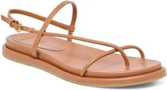 Dolce Vita Dom Strappy Sandal in Saddle Leather at Nordstrom, Size 11