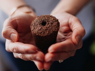 Click and Grow Click And Grow Smart Garden 9 Jard&iacute;n De Interior Negro