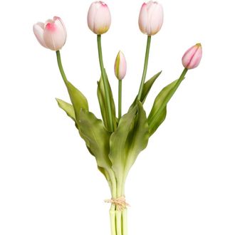 Mark Roberts Blooming Tulip Bunch of 5, 6 Bunches Total in Light Pink at Nordstrom
