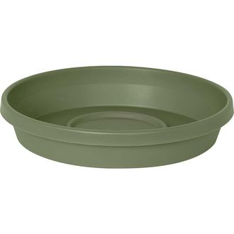 Bloem Terra 17 Inch Resin Saucer in Green at Nordstrom