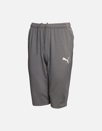 Puma Mens Puma Long Length Mens Short - Grey - Size: 33/32/32