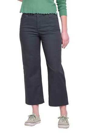 Toad & Co Earthworks Wide Leg Pant in Soot at Nordstrom, Size 14 26