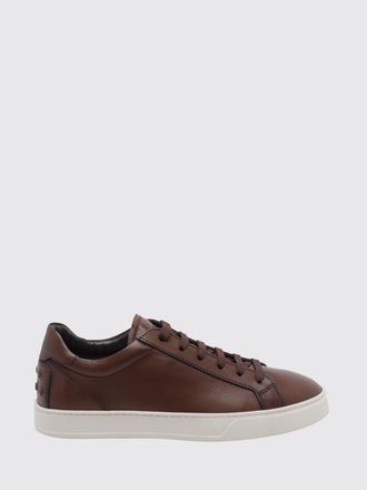 Tod's Sneakers Men color Brown