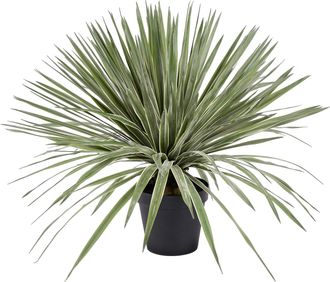 Schubiger M&ouml;bel Kunstpflanze Agave im Topf H: 80 cm
