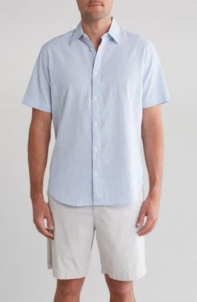 Coastaoro Niko Stripe Cotton Short Sleeve Button-Up Shirt in Blue at Nordstrom Rack, Size Xx-Large