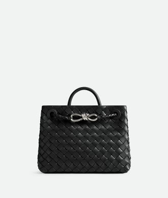 Bottega Veneta Small Andiamo - Bottega Veneta