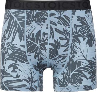 Stoic Merino150 SadjemSt. Boxer Merinounterw&auml;sche f&uuml;r Herren | grau