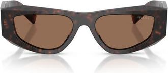 Prada 53mm Pillow Sunglasses in Root Tortoise /Dark Brown at Nordstrom