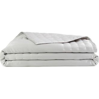 DKNY Hammered Silk & Cotton Blend Quilt in Platinum at Nordstrom, Size Queen