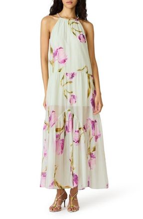 Steve Madden Jamie Floral Print Maxi Dress in English Rose at Nordstrom, Size Xx-Large